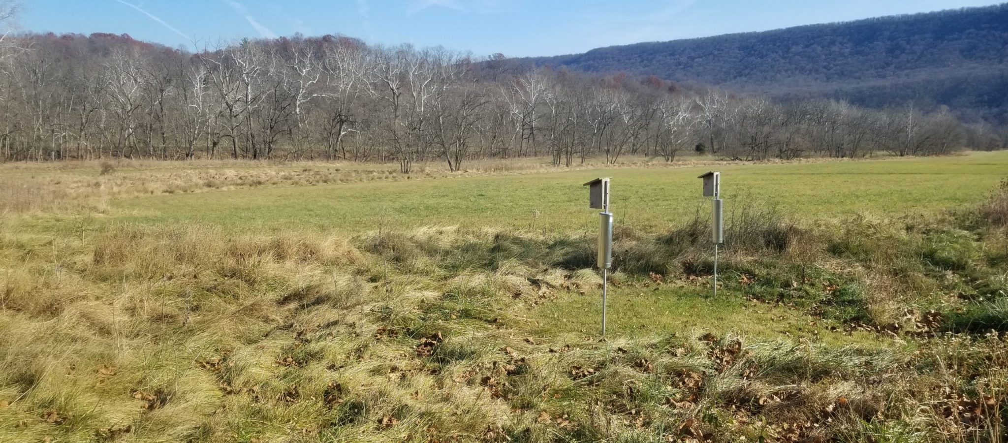 two wooden blue bird boxes in a field